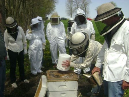 May bee yard feeder bucket demo